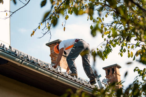 Roof Waterproofing Services in Phillips, WI